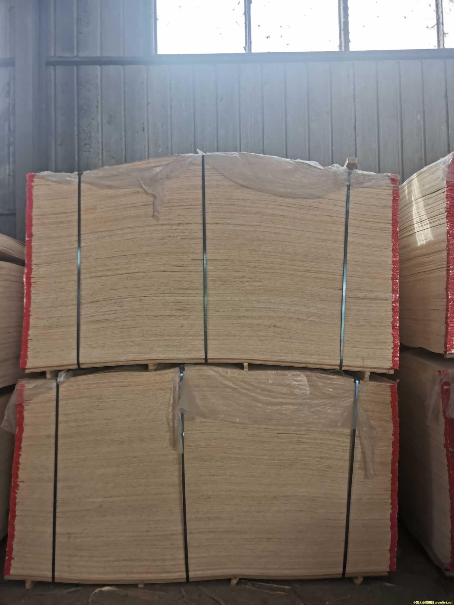 CARBP2��E1��E2 ��ľ ����� ɳ�l(f��)��