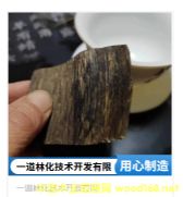 ľ����-�������؃�(y��u)�����Ԅ�