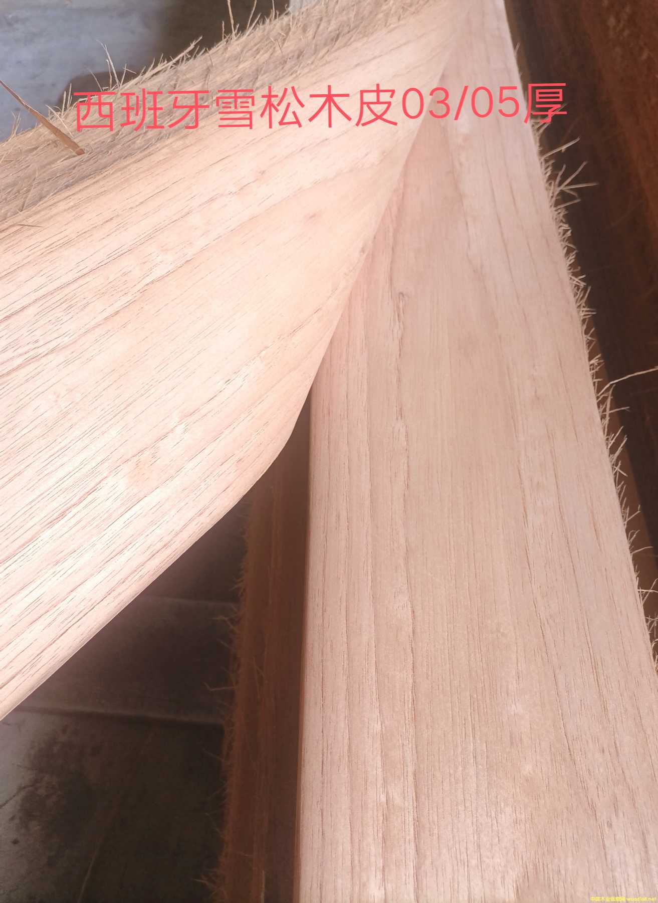 ������ѩ��ľƤ��Ԕ����B