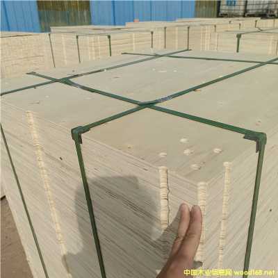 ܇չ���_��