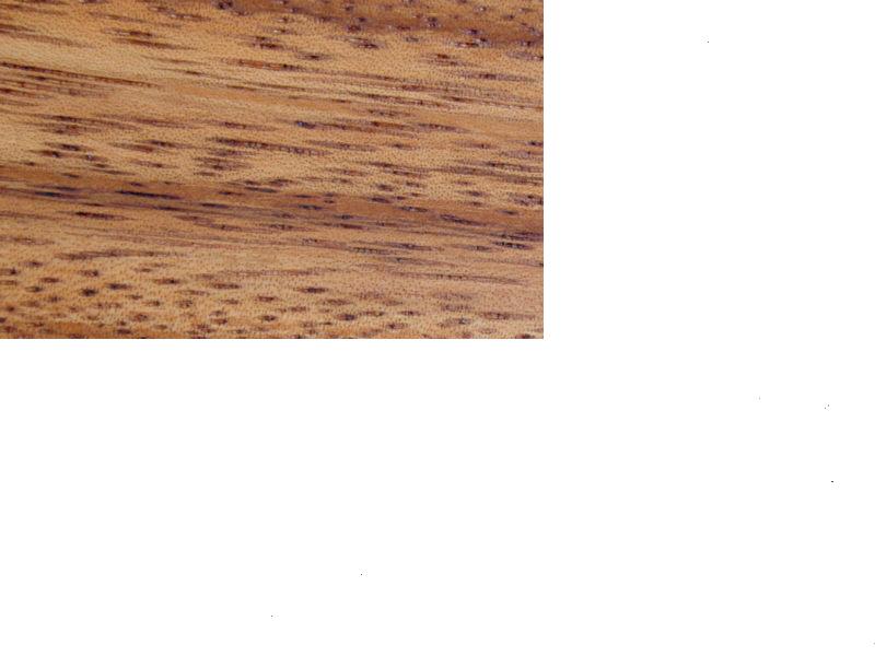 Monkey Pod��Ԕ��(x��)��B