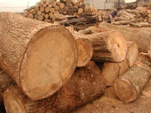 �Aľ�ϵ�Ԕ��(x��)��B