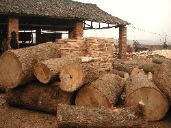 ���ľ(ֱ��20-80)