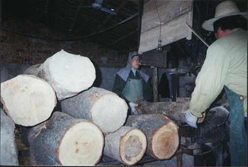 ��_(t��i)��Ԕ��(x��)��B