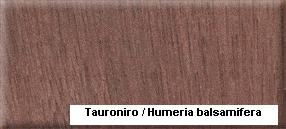 Tauroniro��Ԕ��(x��)��B