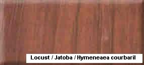 Locust / Jatoba��Ԕ��(x��)��B