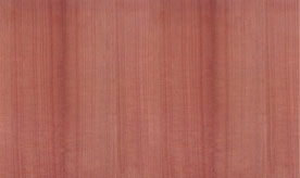 ӭ�����ă�(y��u)�ݻ��(d��ng)���z�ϰ� �b��N����Ԕ��(x��)��B