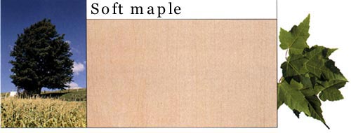 Soft Maple ܛ����Ԕ����B
