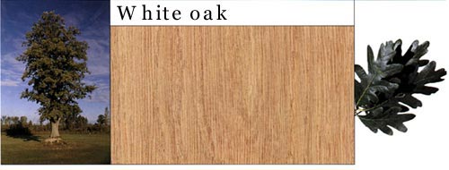 White Oak �����Ԕ����B