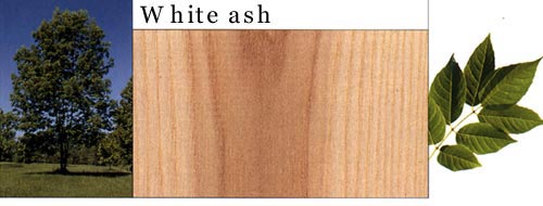 White Ash ˮ������Ԕ����B