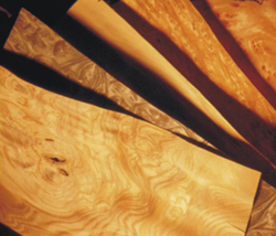 ��ľľƤ��Ԕ��(x��)��B