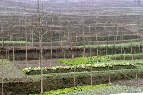 �F�ݻ��ؘO�ѵ����ؗl����Ԕ��(x��)��B