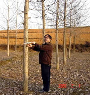 �F�ݻ��ؘO�ѵ����ؗl����Ԕ��(x��)��B