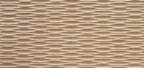 ֱ���y���˰�