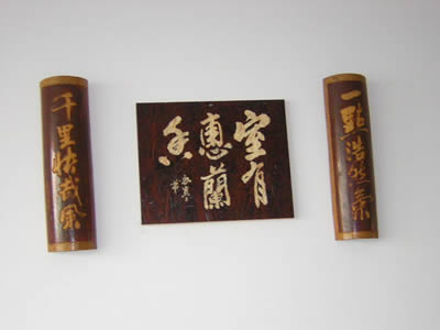 OSB��Ԕ��(x��)��B