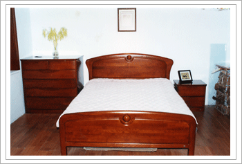 ��(sh��)ľ�Ҿߵ�Ԕ��(x��)��B