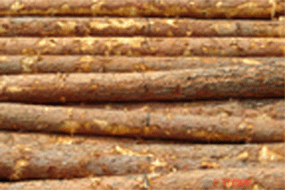 ���~�ɵ�Ԕ����B