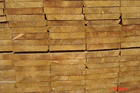 ��ĵ�Ԕ����B