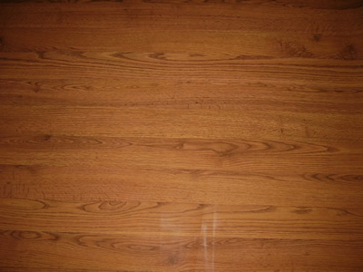 ��������Ԕ����B