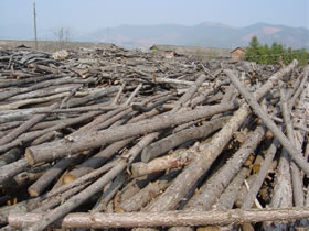 ��ļӹ�܇�g��Ԕ����B