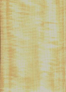 E.V.�׺���(Ӱ)��Ԕ��(x��)��B