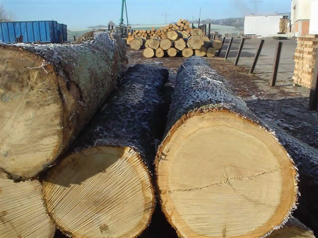 �W�ް���ľ����ľ�ЬF(xi��n)؛��