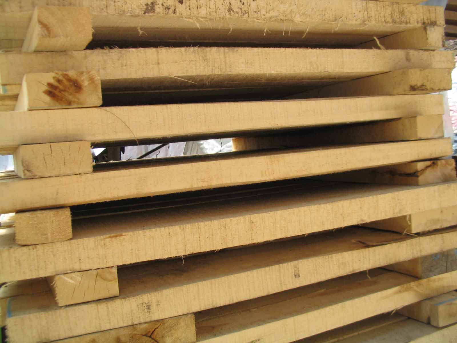 �דP(y��ng)�����P(y��ng)����������