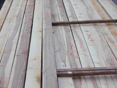 ���_˹��ľ���ɲĵ�Ԕ����B